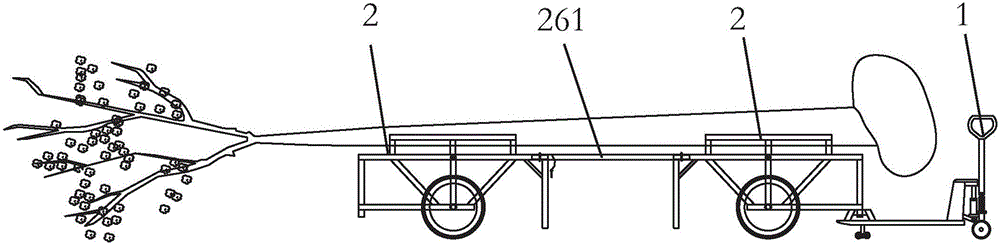 一種人工苗木載運(yùn)車的制作方法附圖